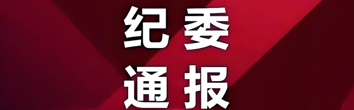 开云首页APP-他接受纪律审查和监察调查